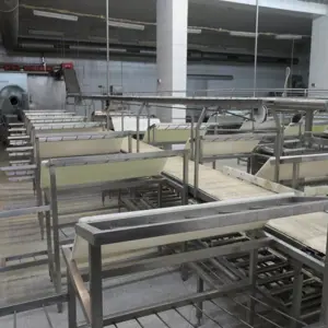 Carcasses cutting line